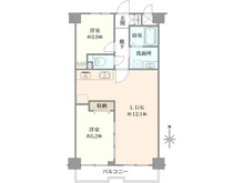 【東京都/墨田区立花】セザール錦糸町 間取り図