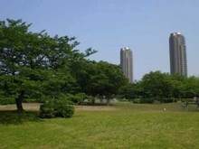 【東京都/江東区扇橋】クレヴィア住吉 猿江恩賜公園（現地より約960m）：