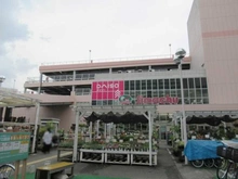 【東京都/江東区扇橋】メイツ深川住吉  島忠　江東猿江店（現地より約550m）