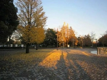 【東京都/江東区塩浜】コスモ木場キャナルブリーズ 木場公園（現地より約1,000m）