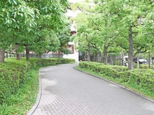 【東京都/江東区北砂】コスモ西大島グランステージ 敷地内