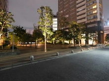 【東京都/北区滝野川】パークタワー滝野川 敷地内
