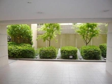 【東京都/葛飾区水元】メロディーハイム水元公園弐番館 共用部