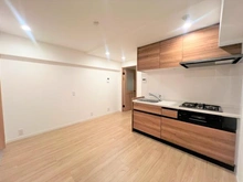 【東京都/豊島区東池袋】池袋パークハイツ キッチン