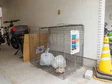 【東京都/渋谷区神山町】セブンスターハイツ神山町 共用部：ゴミ置き場