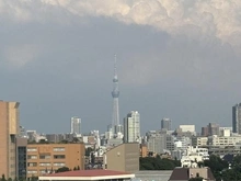 【東京都/豊島区高田】シティテラス目白 眺望：ズーム有。ルーフバルコニーより東方向