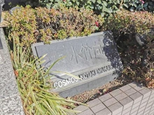 【東京都/板橋区小茂根】コスモ小竹向原 マンション表札