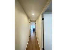 【東京都/板橋区大山金井町】クオリティ大山 廊下