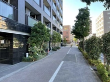 【東京都/豊島区西池袋】シティハウス池袋立教南 前面道路