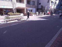 【東京都/板橋区仲宿】コスモ板橋グレイスアベニュー 前面道路