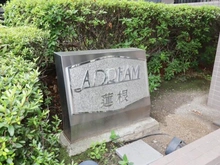 【東京都/板橋区蓮根】アドリーム蓮根 マンション表札