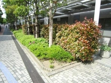 【東京都/練馬区光が丘】光が丘パークタウンいちょう通り東第三団地1号棟 共用部