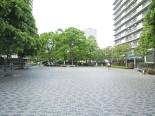 【東京都/練馬区光が丘】光が丘パークタウンいちょう通り東第三団地1号棟 前面道路