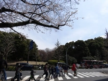 【東京都/渋谷区代々木】オープンレジデンシア代々木ザ・ハウス 代々木公園（現地より約750m）