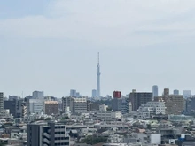 【東京都/豊島区東池袋】エアライズタワー 眺望：※ズーム有