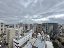 【埼玉県/さいたま市浦和区岸町】ザ・パームス浦和岸町 眺望