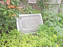 【東京都/板橋区蓮根】セザール第二蓮根 マンション表札