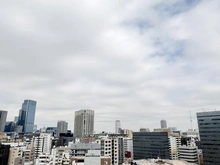 【東京都/中央区湊】パークシティ中央湊ザ・タワー 眺望：スカイツリーが見えます。（天候による）