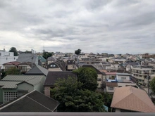 【東京都/渋谷区富ヶ谷】エタンセレ代々木公園 眺望