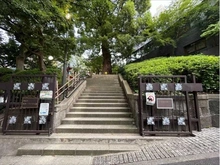 【東京都/港区高輪】グランドメゾン白金高輪パークフロント 高松くすのき公園（現地より約160m）
