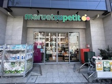 【東京都/渋谷区東】THEパームス渋谷常盤松 マルエツプチ南青山七丁目店（現地より約330m）