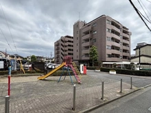 【神奈川県/厚木市旭町】ルアンジュ本厚木 前面道路