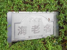 【神奈川県/海老名市下今泉】メイツ海老名 マンション表札