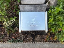 【神奈川県/大和市福田】ダイアパレスアンジェロ桜ヶ丘  マンション表札