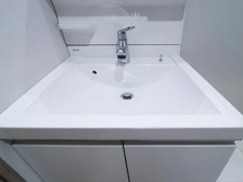 【東京都/町田市金井ヶ丘】セントヒルズ 鶴 川 洗面台