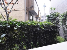 【神奈川県/相模原市南区古淵】ナイスアーバン古淵 眺望：バルコニーから