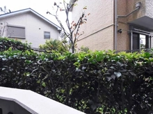 【神奈川県/相模原市南区古淵】ナイスアーバン古淵 眺望：バルコニーから