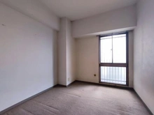 【神奈川県/厚木市妻田東】ダイアパレス本厚木リバーコート 洋室