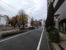 【神奈川県/厚木市中町】レクセルプラザ本厚木 前面道路