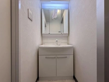 【神奈川県/座間市相武台】スタープラザ相武台駅前 洗面室