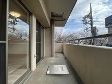 【神奈川県/相模原市中央区相模原】サンアリーナ相模原西門桜通り バルコニー