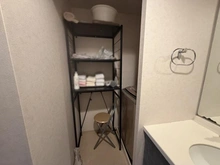 【東京都/町田市小山町】ザ・ヴィスタ町田の杜 洗面所：2025年12月22日撮影
家具調度品は価格に含まれません