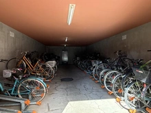 【神奈川県/相模原市南区双葉】コスモ相模大野パークステージ 駐輪場