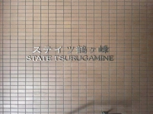 【神奈川県/横浜市旭区鶴ケ峰本町】ステイツ鶴ヶ峰 マンション表札
