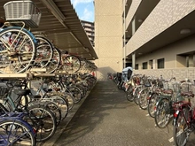 【神奈川県/海老名市河原口】ベルドゥムール海老名弐番館 駐輪場