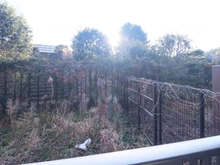 【東京都/町田市南大谷】ユニヴェルシオール学園の丘 専用庭