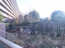 【東京都/町田市南大谷】ユニヴェルシオール学園の丘 専用庭