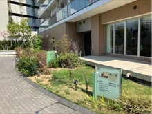 【神奈川県/海老名市めぐみ町】リーフィアタワー海老名ブリスコート 敷地内