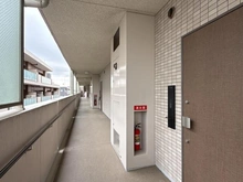 【神奈川県/海老名市中央】ベルドゥムール海老名ルミナス 廊下