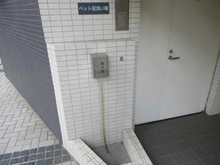 【神奈川県/相模原市緑区橋本】ザ・ハシモトタワー 共用部：ペット足洗い場