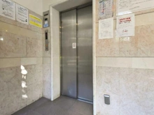 【神奈川県/相模原市中央区相模原】ルイシャトレ相模原 共用部