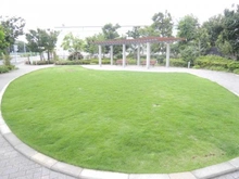 【神奈川県/相模原市緑区大山町】 ミッドオアシスタワーズ タワー棟 敷地内