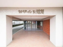 【神奈川県/大和市下鶴間】セザール第3鶴間 エントランス