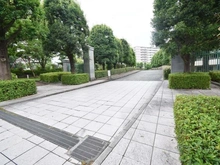 【神奈川県/横浜市緑区長津田】ウォルトンズコート長津田 B棟 アプローチ