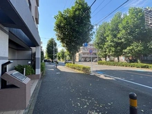 【神奈川県/川崎市多摩区枡形】レクセルマンション向ヶ丘遊園 前面道路