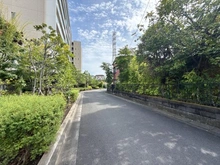 【神奈川県/伊勢原市桜台】リーフィアレジデンス伊勢原 前面道路